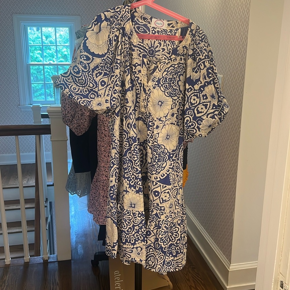 Blue and white puffy sleeved frock